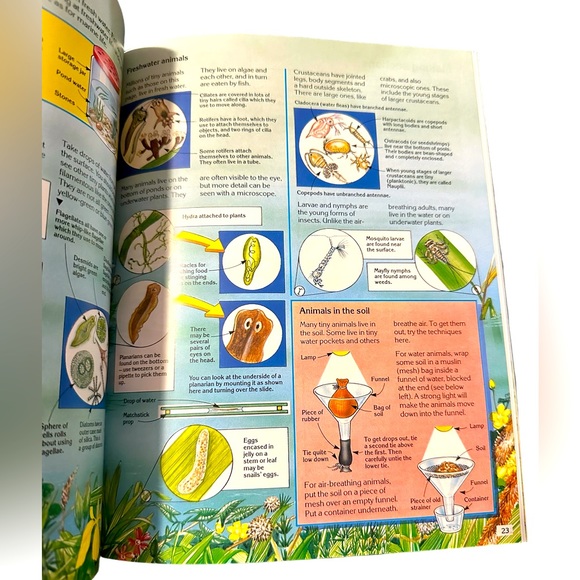 Usborne Science and Experiments The World of the Microscope Euc - Picture 2 of 4